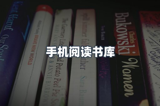 海外电子书
